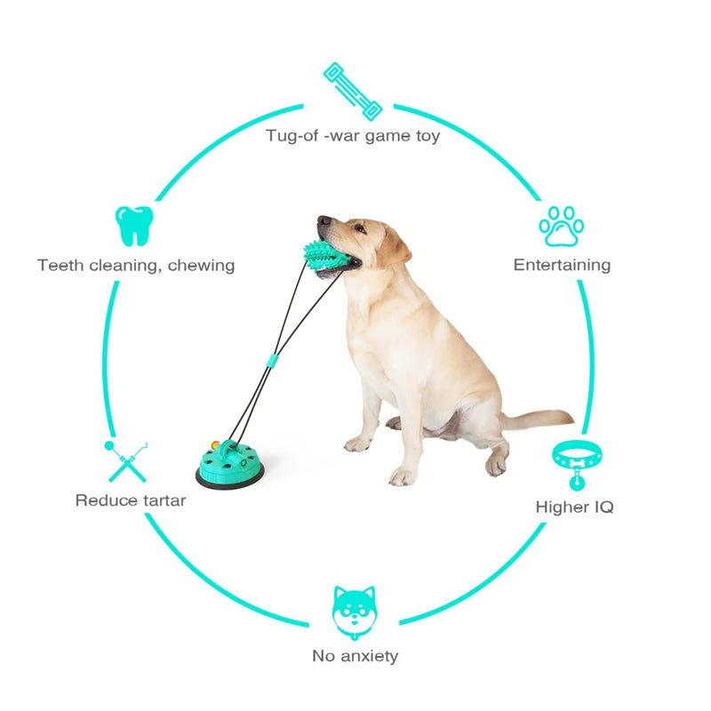 Playful Pup Essentials Set - Interactive Dog Chew Bundle