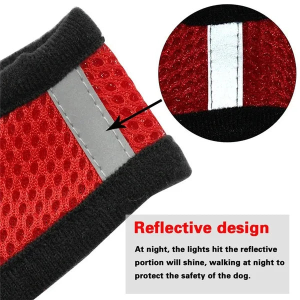 Pet Mesh Harness with Reflective Leash Set